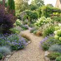 Thuja occidentalis, Cotinus coggygria, Hydrangea paniculata, Geranium ‘Rozanne’, Hylotelephium, Carex comans, Festuca glauca, and Pennisetum orientale