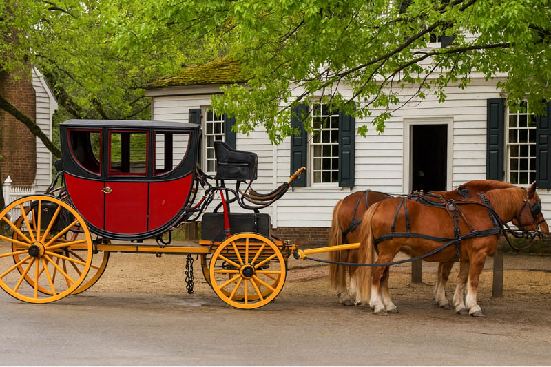 Carriage and horses in Williamsburg, Virginia