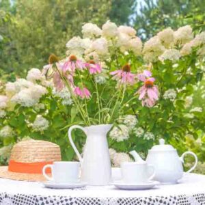 Summer breakfast in a blooming garden. bouquet of pink echinacea flowers on a table in a blooming hydrangea garden