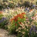 Summer garden design idea with helenium, echinops, echinacea