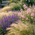 Summer garden design idea with Sidalcea, Checker Bloom, Stipa, Salvia Caradonna, Woodland sage