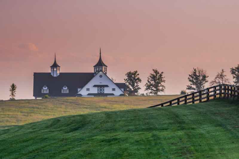 Black Fence Leads over the Hill in Kentucky horse country