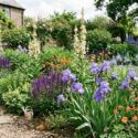 Spring perennial planting with Verbascum, Salvia nemerosa 'Caradonna', Geum, Iris, Aquilegia Blue Barlow and Camassia leichlinii