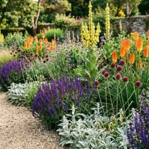 plant combination, Stachys byzantina, Kniphofia, allium sphaerocephalon