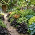 Heuchera, Polemonium caerula , Polystichum setiferum, Hosta 'Patriot'