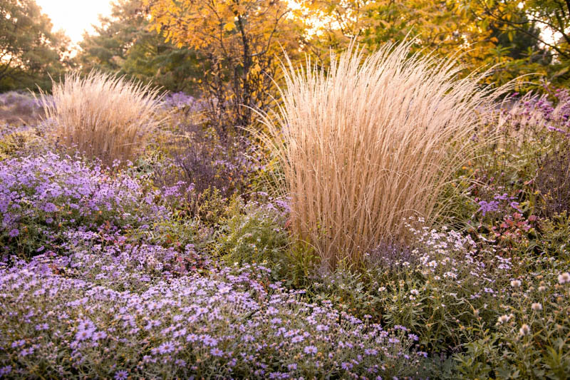 potten planten Terra Dome | Kleur Sabbia | Planten Potten | Jardinico