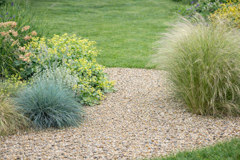 Festuca Glauca Blue Fescue Uses Design Tips Care Festuca Glauca Blue Fescue Uses Design Tips Care