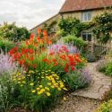 Summer garden idea with Anthemis tinctoria, Crocosmia, Kniphofia and Perovskia