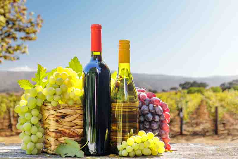 Red and white wine bottles with a grape basket on a rustic wooden table, set against a picturesque vineyard landscape. A perfect scene for wine lovers and countryside ambiance