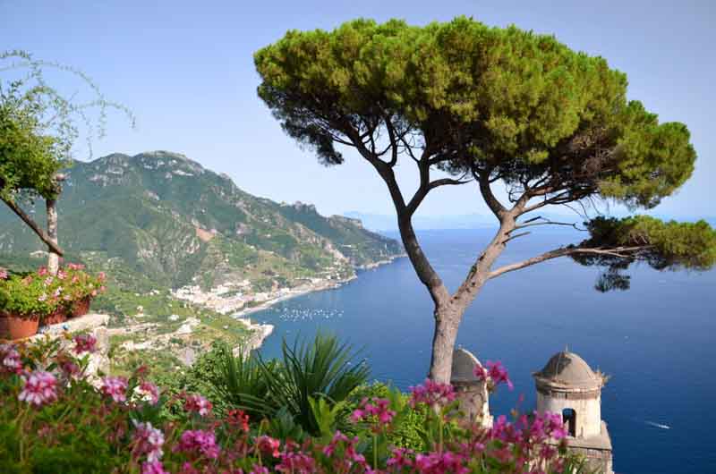 Best plants for coastal Mediterranean gardens