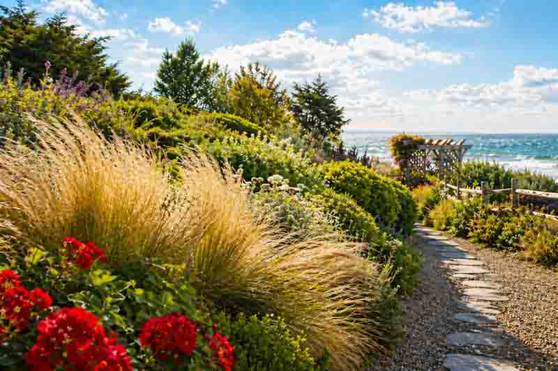 Best Plants for Windy Coastal Gardens - Tough & Beautiful Choices