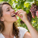 Best table grapes for fresh eating, Enjoying the sunlit vineyard harvest