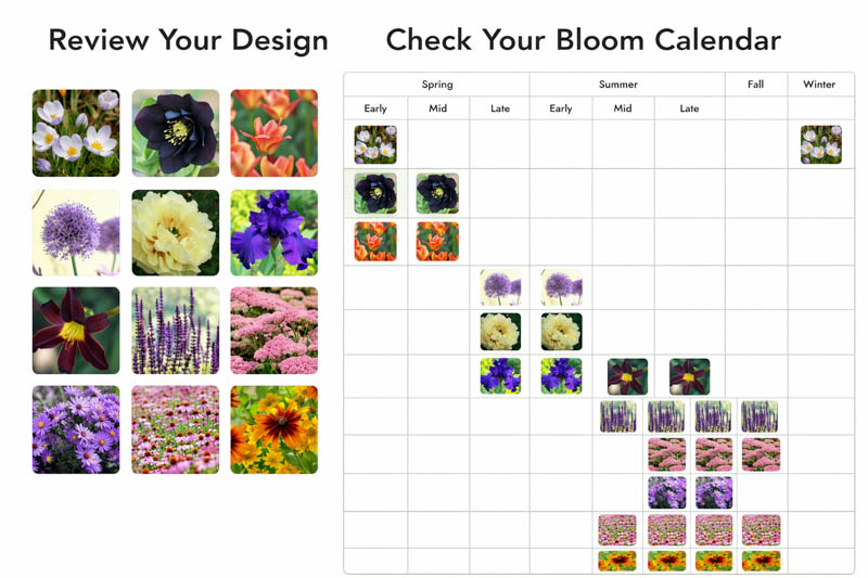 Garden design and bloom schedule