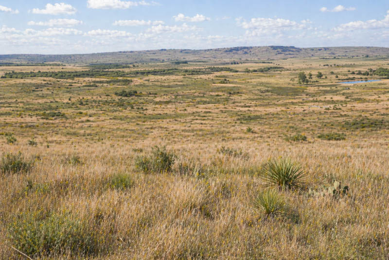 Tranquil Rio Grande Valley prairie in Texas under a cloudy sky