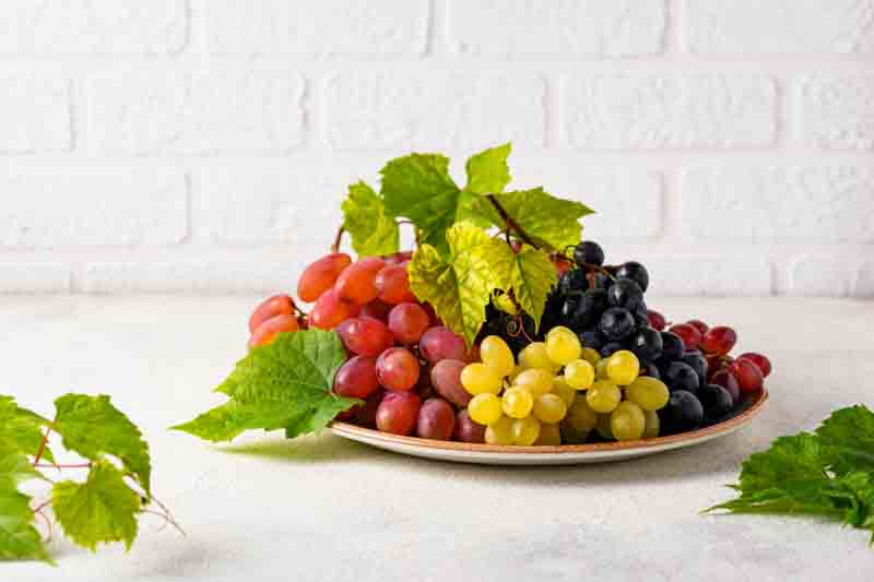 Best Grapes for Zone 5,