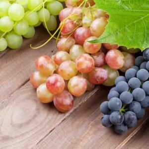 Best Grapes for Dry Climates