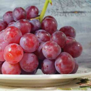 How to Grow Seedless Grapes Successfully at Home