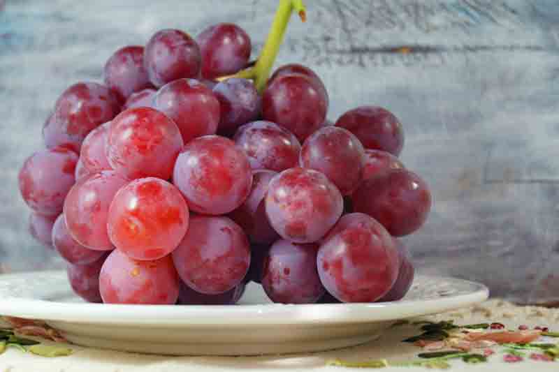 How to Grow Seedless Grapes Successfully at Home