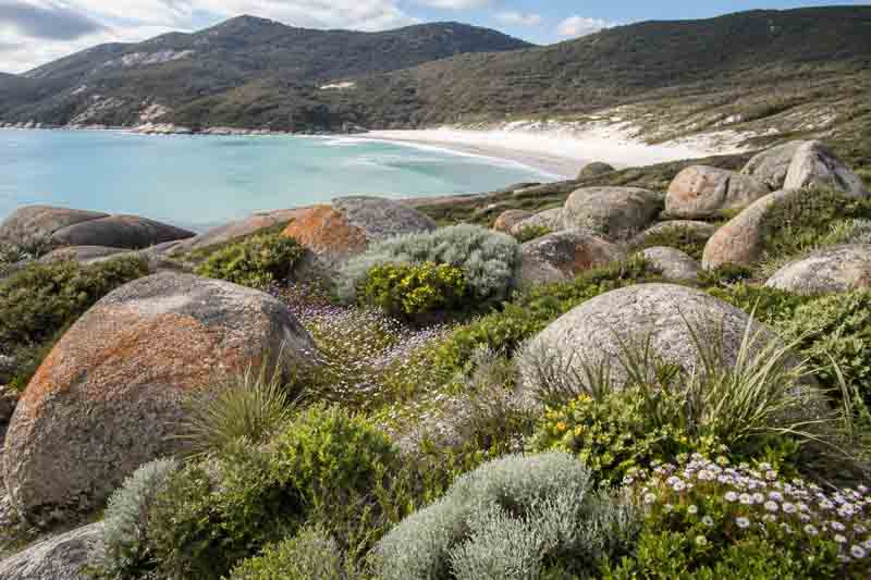 Australia coastal landscape