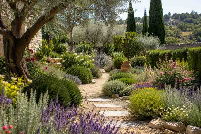 Mediterranean garden in golden sunlight