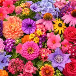 The Best Long-Flowering Plants for Nonstop Garden Color