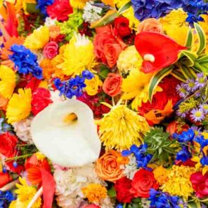 The Best Long-Flowering Plants for Nonstop Garden Color