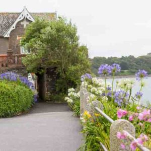 Best Plants for windy coastal gardens