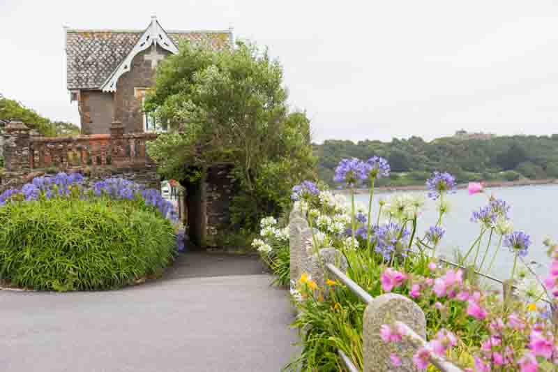Best Plants for windy coastal gardens