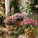 How to Grow Pinks in Pots Without Killing Them, Charming garden porch in soft light