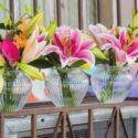 When do lilies bloom, Lily calendar