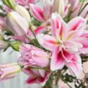 How Long Do Lilies Bloom? Extend the Lily Season