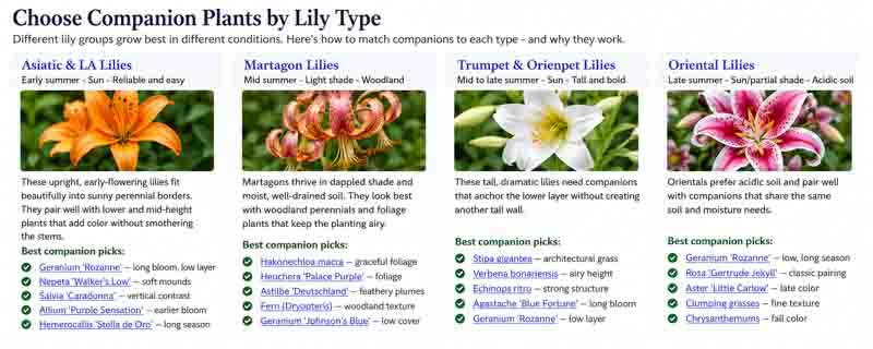 Lily Companion Planting Guide