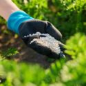 Close-up mineral granulation fertilizer in hand, outdoor