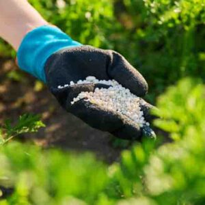 Close-up mineral granulation fertilizer in hand, outdoor