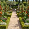 Garden with Tomato, basil, chives, lettuce, calendula and sweet alyssum