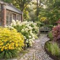 Hemerocallis 'Stella de Oro', Hydrangea paniculata 'Limelight', Aralia cordata 'Sun King', Acer Beni Mako