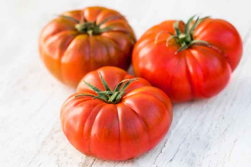 Tomato Brandyine, Beefsteak Tomato, Solanum lycopersicum 'Brandywine'
