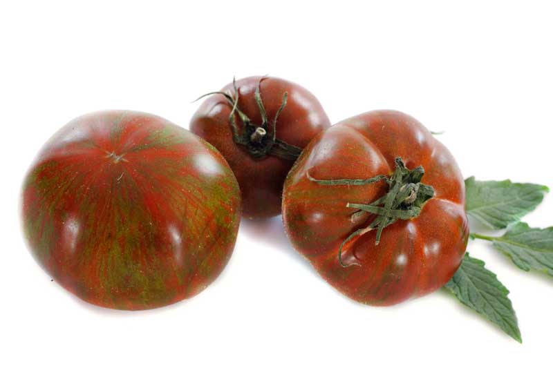 Tomato Black Krim, Solanum lycopersicum 'Black Krim', Beefsteak Tomatoes