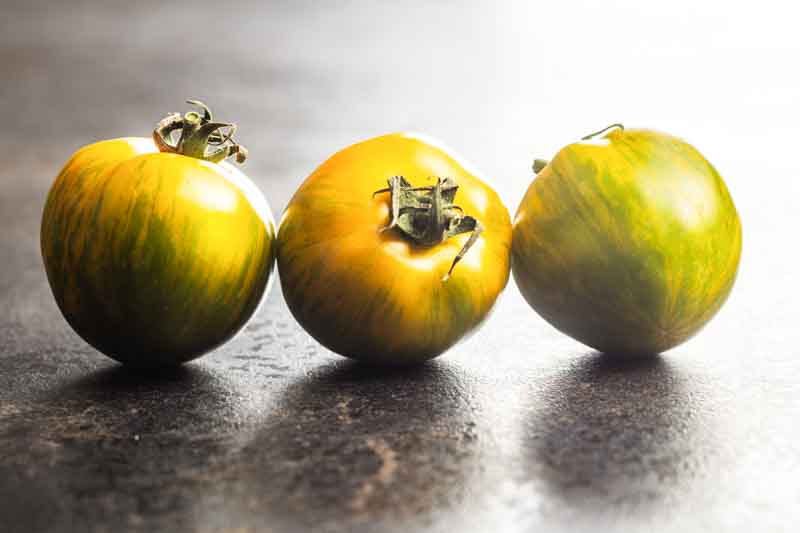 Tomato Green Zebra, Solanum lycopersicum 'Green Zebra', Heirloom tomatoes
