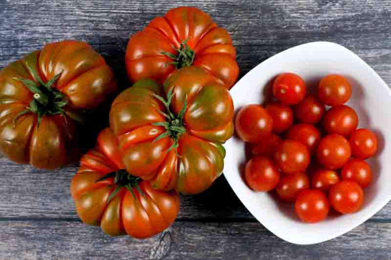 Tomato Brandyine, Beefsteak Tomato, Solanum lycopersicum 'Brandywine'