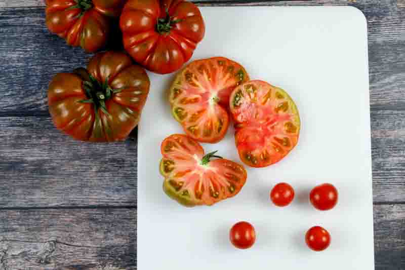 Tomato Brandyine, Beefsteak Tomato, Solanum lycopersicum 'Brandywine'
