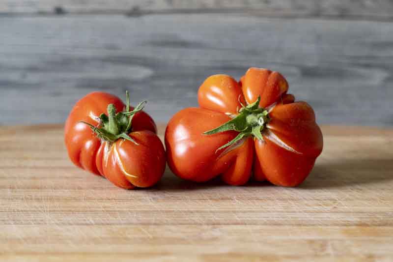 Tomato Mortgage Lifter, Solanum lycopersicum 'Mortgage Lifter', Heirloom Tomatoes
