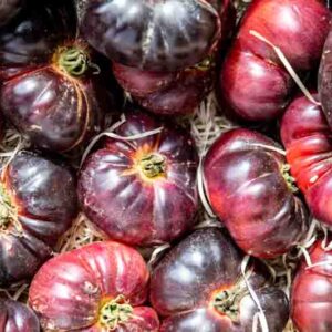 Tomato Cherokee Purple, Heirloom Tomato, Purple Tomato
