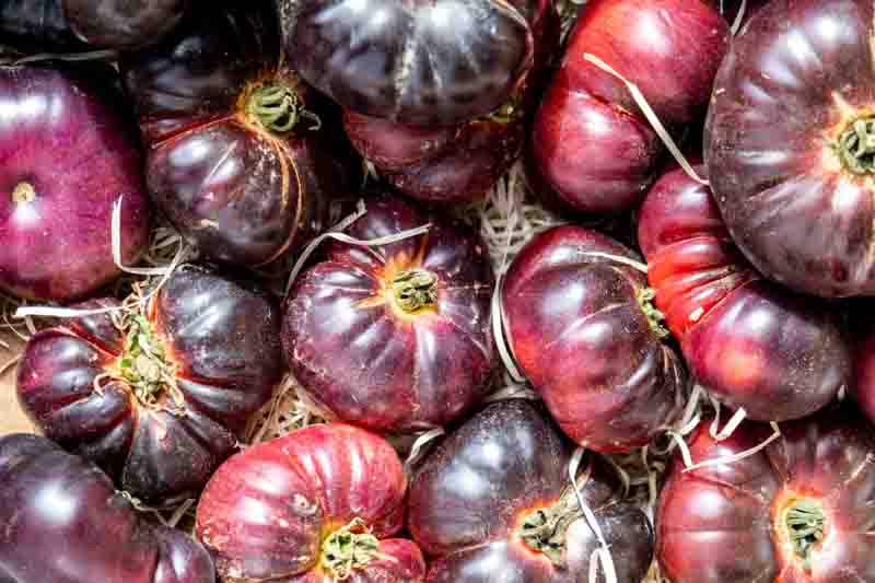 Tomato Cherokee Purple, Heirloom Tomato, Purple Tomato