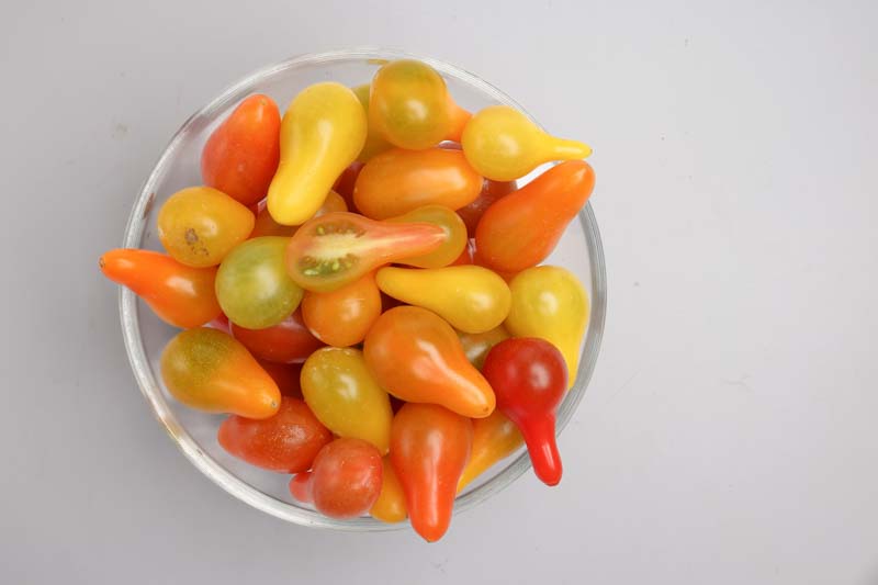 Tomato Yellow Pear, Yellow tomatoes, Cherry tomatoes, Solanum lycopersicum 'Yellow Pear'