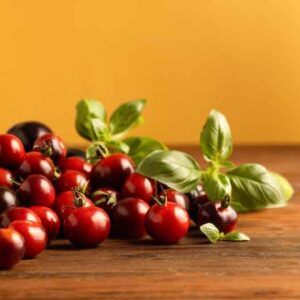 Tomato Black Cherry, Cherry Tomatoes, Black tomatoes, Solanum lycopersicum 'Black Cherry'