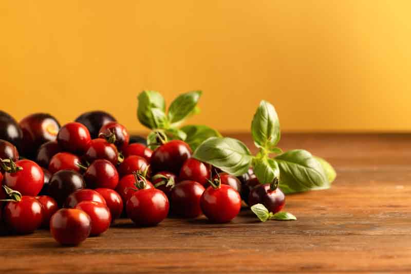 Tomato Black Cherry, Cherry Tomatoes, Black tomatoes, Solanum lycopersicum 'Black Cherry'