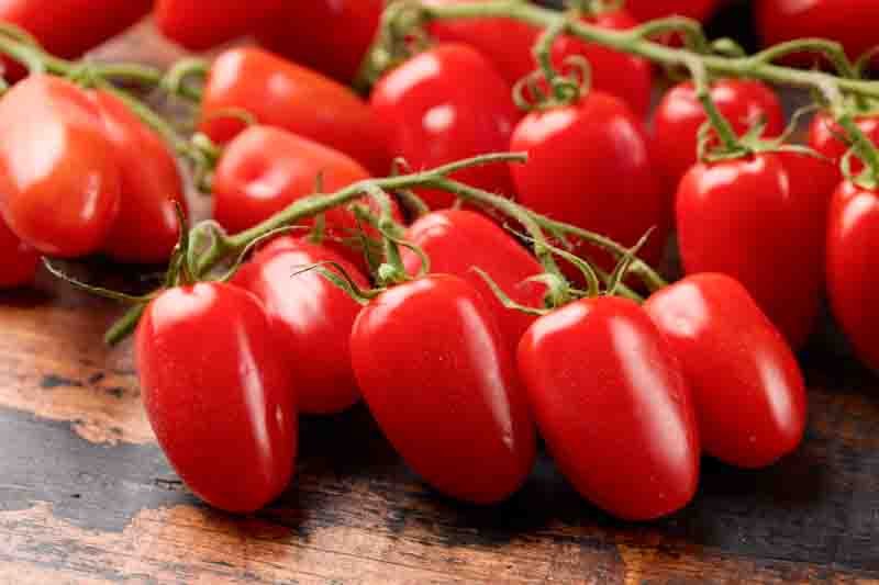 Tomato San Marzano, Solanum lycopersicum 'San Marzano, Plum tomatoes