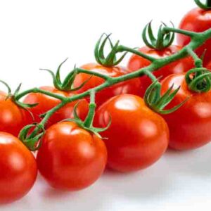 Tomato Super Super Sweet 100, Solanum lycopersicum 'Super Sweet 100', Cherry tomatoes