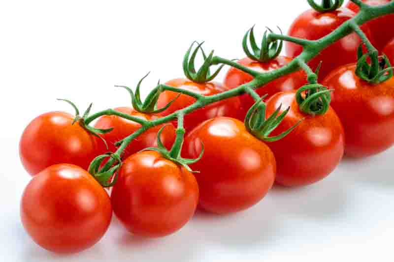 Tomato Super Super Sweet 100, Solanum lycopersicum 'Super Sweet 100', Cherry tomatoes